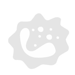 white blood cells vector