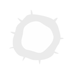 white blood cells vector