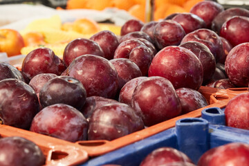 Red fresh plums with a natural dusty bloom. The fruits have a rich dark purple hue
