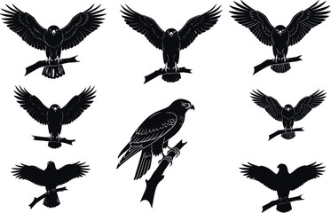 Hawk silhouettes perched on branches, symmetrical wing spread, central profile pose, black bird layout - flavector