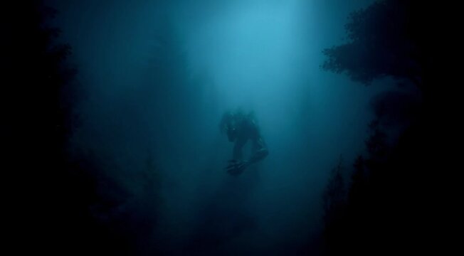A cinematic and atmospheric illustration of a menacing aquatic humanoid creature submerged in murky, deep blue water.
