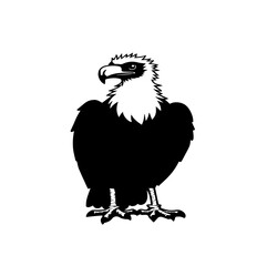Naklejka premium sketch of an eagle vector