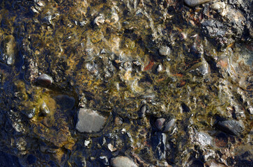 途切れることの無い、寄せては返す波の織りなす浜辺のパターン。時を忘れて自然の光景に見入っている自分。太古から連綿と繰り返されている自然の営み。母なる水を蓄えた優しく美しい地球。人間・ホモサピエンスは自らの幸せを得たいがために、どれほど地球をいじめてきたか。今、その地球が危機に瀕している。うめき声すらも聞こえてくる。混沌とした世の中、私たちは何をなすべきか、できることは何か。