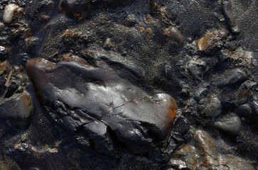 途切れることの無い、寄せては返す波の織りなす浜辺のパターン。時を忘れて自然の光景に見入っている自分。太古から連綿と繰り返されている自然の営み。母なる水を蓄えた優しく美しい地球。人間・ホモサピエンスは自らの幸せを得たいがために、どれほど地球をいじめてきたか。今、その地球が危機に瀕している。うめき声すらも聞こえてくる。混沌とした世の中、私たちは何をなすべきか、できることは何か。