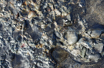 途切れることの無い、寄せては返す波の織りなす浜辺のパターン。時を忘れて自然の光景に見入っている自分。太古から連綿と繰り返されている自然の営み。母なる水を蓄えた優しく美しい地球。人間・ホモサピエンスは自らの幸せを得たいがために、どれほど地球をいじめてきたか。今、その地球が危機に瀕している。うめき声すらも聞こえてくる。混沌とした世の中、私たちは何をなすべきか、できることは何か。