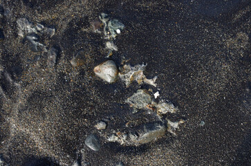 途切れることの無い、寄せては返す波の織りなす浜辺のパターン。時を忘れて自然の光景に見入っている自分。太古から連綿と繰り返されている自然の営み。母なる水を蓄えた優しく美しい地球。人間・ホモサピエンスは自らの幸せを得たいがために、どれほど地球をいじめてきたか。今、その地球が危機に瀕している。うめき声すらも聞こえてくる。混沌とした世の中、私たちは何をなすべきか、できることは何か。