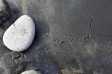途切れることの無い、寄せては返す波の織りなす浜辺のパターン。時を忘れて自然の光景に見入っている自分。太古から連綿と繰り返されている自然の営み。母なる水を蓄えた優しく美しい地球。人間・ホモサピエンスは自らの幸せを得たいがために、どれほど地球をいじめてきたか。今、その地球が危機に瀕している。うめき声すらも聞こえてくる。混沌とした世の中、私たちは何をなすべきか、できることは何か。