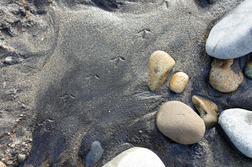 途切れることの無い、寄せては返す波の織りなす浜辺のパターン。時を忘れて自然の光景に見入っている自分。太古から連綿と繰り返されている自然の営み。母なる水を蓄えた優しく美しい地球。人間・ホモサピエンスは自らの幸せを得たいがために、どれほど地球をいじめてきたか。今、その地球が危機に瀕している。うめき声すらも聞こえてくる。混沌とした世の中、私たちは何をなすべきか、できることは何か。