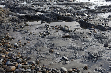 途切れることの無い、寄せては返す波の織りなす浜辺のパターン。時を忘れて自然の光景に見入っている自分。太古から連綿と繰り返されている自然の営み。母なる水を蓄えた優しく美しい地球。人間・ホモサピエンスは自らの幸せを得たいがために、どれほど地球をいじめてきたか。今、その地球が危機に瀕している。うめき声すらも聞こえてくる。混沌とした世の中、私たちは何をなすべきか、できることは何か。