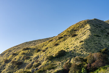 ( Tt ) Topanga Canyon Formation ( bedded sillstone, shale and sandstone). Mugu Canyon Rest Area, California State Route 1,  Pacific Coast Highway. Santa Monica Mountains, Ventura County.
