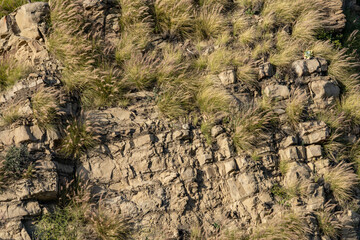( Tt ) Topanga Canyon Formation ( bedded sillstone, shale and sandstone). Mugu Canyon Rest Area, California State Route 1,  Pacific Coast Highway. Santa Monica Mountains, Ventura County.
