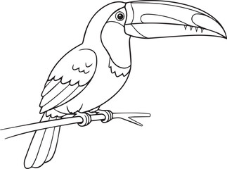 Fototapeta premium Doodle animal for toucan bird silhouette vector flat illustration design