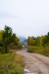 A rough dirt road with puddles leads through a landscape of pine and deciduous trees with yellow autumn foliage and distant forest covered in thick white fog