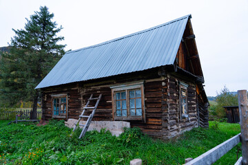Obraz premium A detailed view of an old rustic log cabin with a corrugated metal roof, featuring wooden window frames and a simple ladder resting against the front, surrounded by green grass