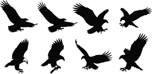 Silhouettes of majestic eagles in flight showcasing various wing positions