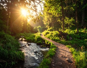 Scenic sunlit path through lush forest, with a stream flowing alongside