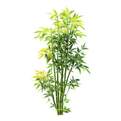 Naklejka premium Lush Green Bamboo Plant with Vibrant Leaves and Natural Background