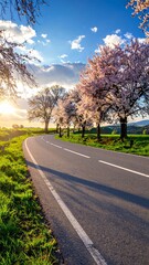Fototapeta premium Road with blooming trees in spring