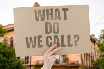 "What Do We Call?" The difficulties of assigning labels in increasingly mixed groups. LABEL. LANGUAGE. IDENTITY. TERM. NAMING.