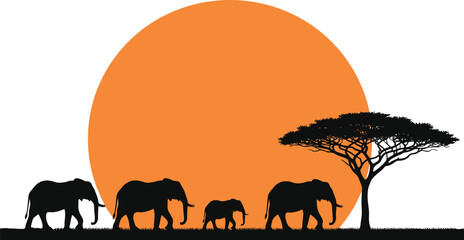 Black Silhouette of African Elephants Family, Walking Across the Savanna at Sunset with Acacia Tree Against Large Orange Sun Vector Scene © AVIJIT