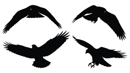 Silhouettes of soaring birds in flight a captivating avian display