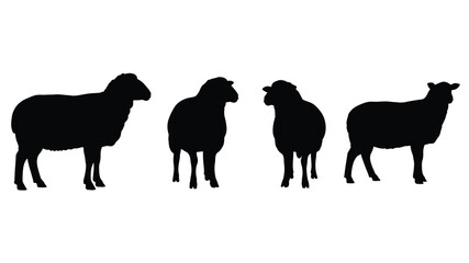 Four sheep silhouettes standing in a row against a plain white background