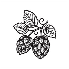 Vintage hand drawn vector of hop cones and leaves with bold engraving lines. Classic hop symbol for beer and brewing themes. Ideal for brewery logos and labels. Part of set.