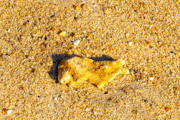 Corals pebbles stones rocks on the beach sand Thailand.