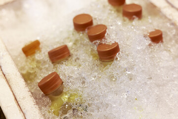 Close up medical vial with vaccine sample on ice showing meticulous research. laboratory experiment focuses on yellow chemical liquid and medicine for healthcare in cool container