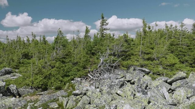 Southern Urals, Zyuratkul National Park: Bolshoy Uvan Mountain.