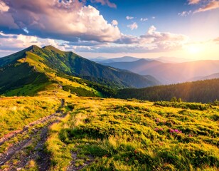 Sunny mountain vista with grassy foreground and distant ranges