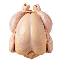 Fresh whole raw chicken prepared for cooking, isolated on white background