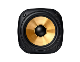 Modern Audio Speaker with Golden Cone and Black Surround