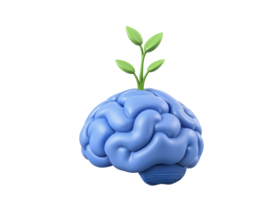 Brain Growth and Mental Development Concept