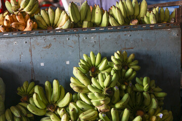 Large bunch of green banana fruit at fresh food market. An abundant organic harvest fills background, ready for sale and healthy eating, symbolizing natural agriculture © Core
