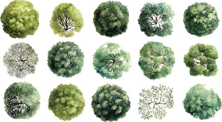 Collection of fifteen diverse watercolor top view trees with green foliage and visible branches on a white background