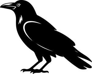 Crow silhouette vector illustration