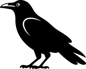 Crow silhouette vector illustration