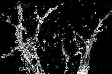 Water splash against a dark backdrop showcasing intricate patterns and textures. The droplets create a dynamic and artistic image.