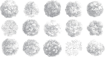 Fifteen top down view stylized grey trees with detailed branch structures and textured foliage on a white background