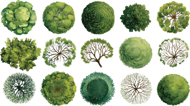 Collection of fifteen diverse green trees viewed from directly above in a top down perspective with watercolor style rendering