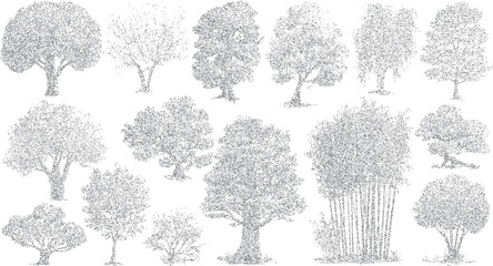 Collection of diverse grey stippled trees and bamboo grove on white background nature forest