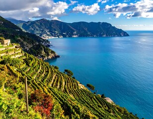 Terraced vineyard overlooking a calm, azure sea beneath a sunny sky