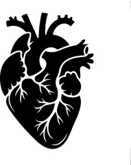 Vintage Human Heart silhouette vector illustration