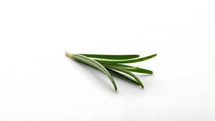 A single sprig of fresh rosemary herb on a clean white background