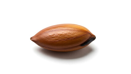Single Macro Shot of a Nut or Seed with a Smooth, Brown Surface Isolated on White Background