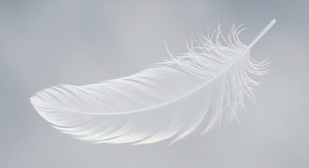 Obraz premium Delicate White Feather Floating Gently on Soft Background