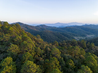 Obraz premium Serene aerial view of green forest mountain landscape at sunrise. This scenic nature view with lush trees evokes feeling of peace and tranquility in wilderness
