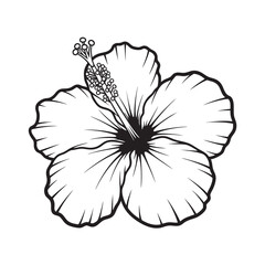 Fototapeta premium Elegant tropical hibiscus flower line art illustration featuring a delicate blooming botanical drawing perfect for design