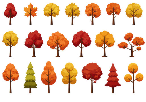a collection of stylized 2d vector autumn maple and oak trees in vibrant red and yellow colors, arranged as a graphic design asset pack on a transparent background. concept for digital assets